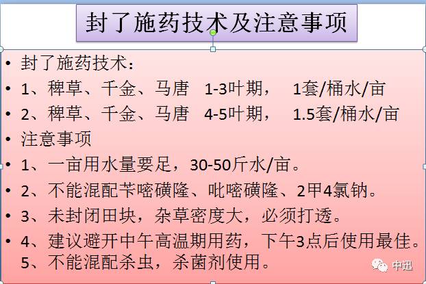 2024奥门跑狗282期,高效性实施计划解析_pack54.48.33