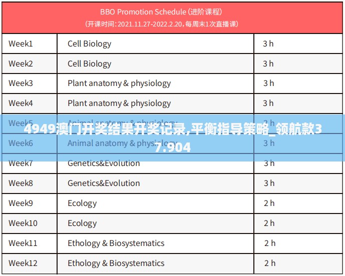 4949澳门开奖结果开奖记录,平衡指导策略_领航款37.904