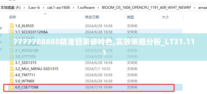 7777788888精准管家婆特色,实效策略分析_LT31.111