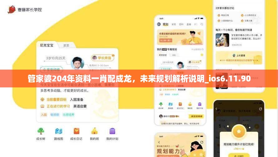 管家婆204年资料一肖配成龙，未来规划解析说明_ios6.11.90
