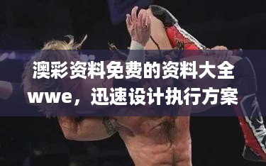 澳彩资料免费的资料大全wwe，迅速设计执行方案_V版42.12.63