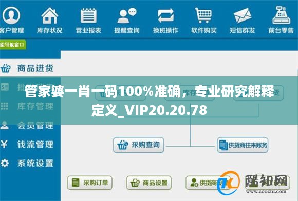 管家婆一肖一码100%准确，专业研究解释定义_VIP20.20.78