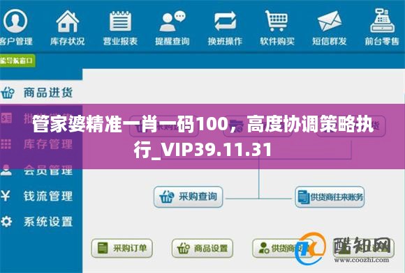 管家婆精准一肖一码100，高度协调策略执行_VIP39.11.31