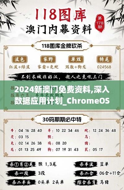 2024新澳门免费资料,深入数据应用计划_ChromeOS95.293