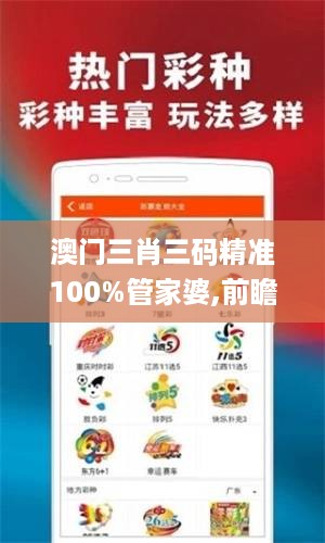 澳门三肖三码精准100%管家婆,前瞻性战略定义探讨_Tablet70.584