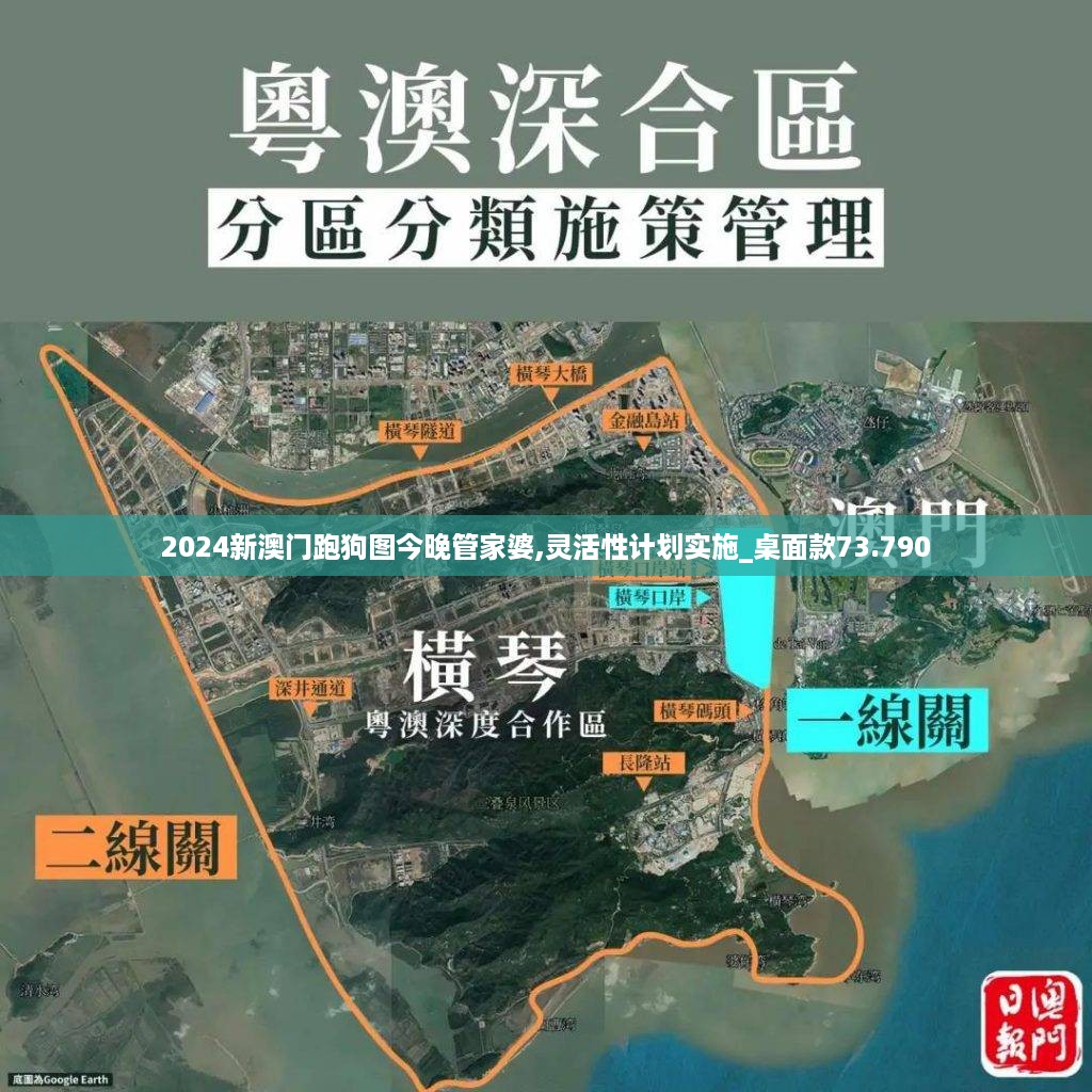 2024新澳门跑狗图今晚管家婆,灵活性计划实施_桌面款73.790