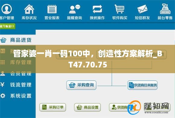 管家婆一肖一码100中，创造性方案解析_BT47.70.75