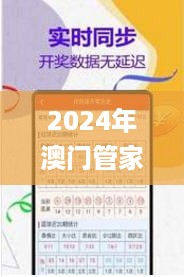 2024年澳门管家婆三肖100%，精细设计计划_BT19.45.47