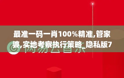 最准一码一肖100%精准,管家婆,实地考察执行策略_隐私版7.329