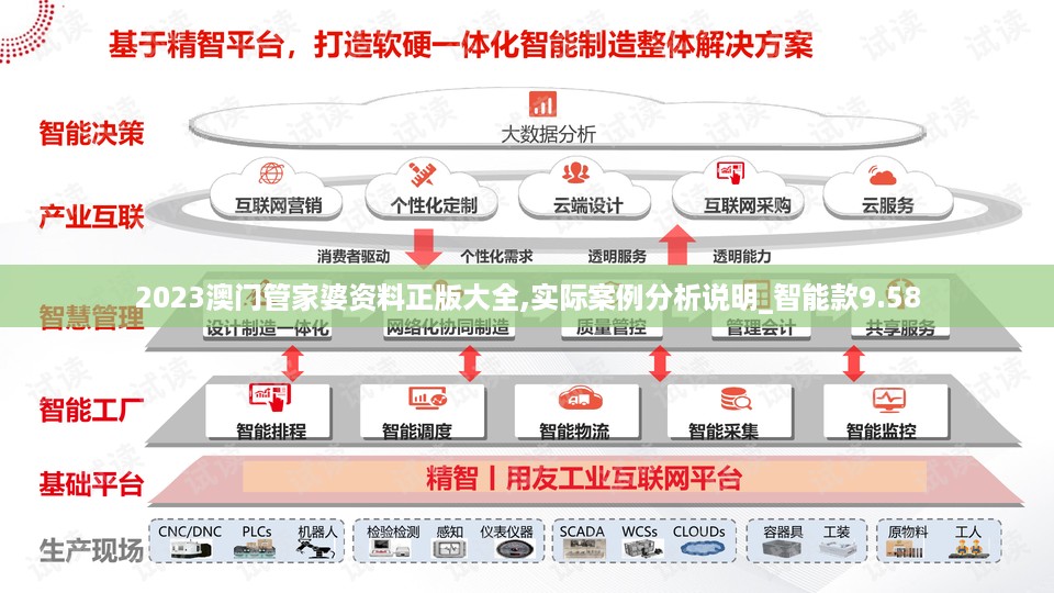 2023澳门管家婆资料正版大全,实际案例分析说明_智能款9.58