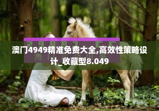 澳门4949精准免费大全,高效性策略设计_收藏型8.049