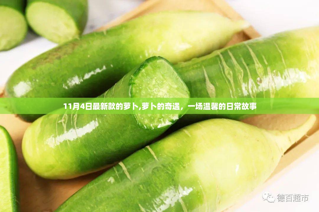 萝卜的奇遇，温馨日常故事（11月4日最新款）