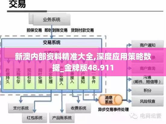 新澳内部资料精准大全,深度应用策略数据_金牌版48.911