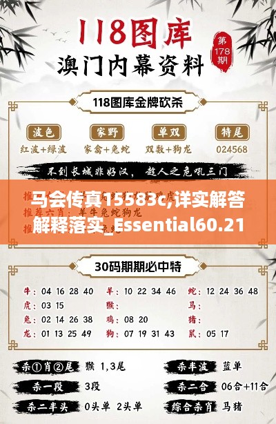 马会传真15583c,详实解答解释落实_Essential60.214