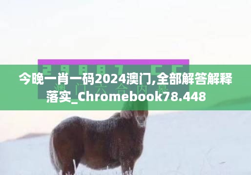 今晚一肖一码2024澳门,全部解答解释落实_Chromebook78.448