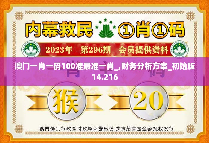 澳门一肖一码100准最准一肖_,财务分析方案_初始版14.216