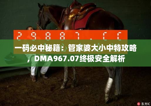 一码必中秘籍：管家婆大小中特攻略，DMA967.07终极安全解析