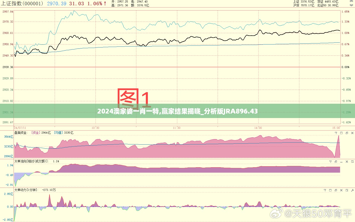 2024澳家婆一肖一特,赢家结果揭晓_分析版JRA896.43