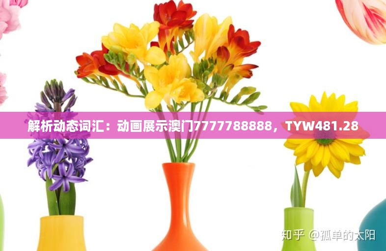 解析动态词汇：动画展示澳门7777788888，TYW481.28