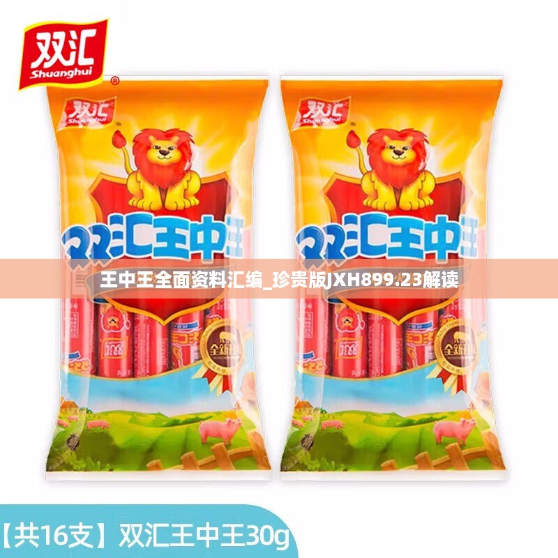 王中王全面资料汇编_珍贵版JXH899.23解读