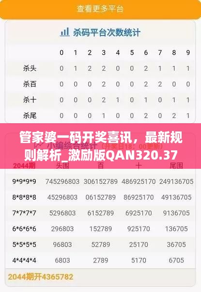 管家婆一码开奖喜讯，最新规则解析_激励版QAN320.37揭晓