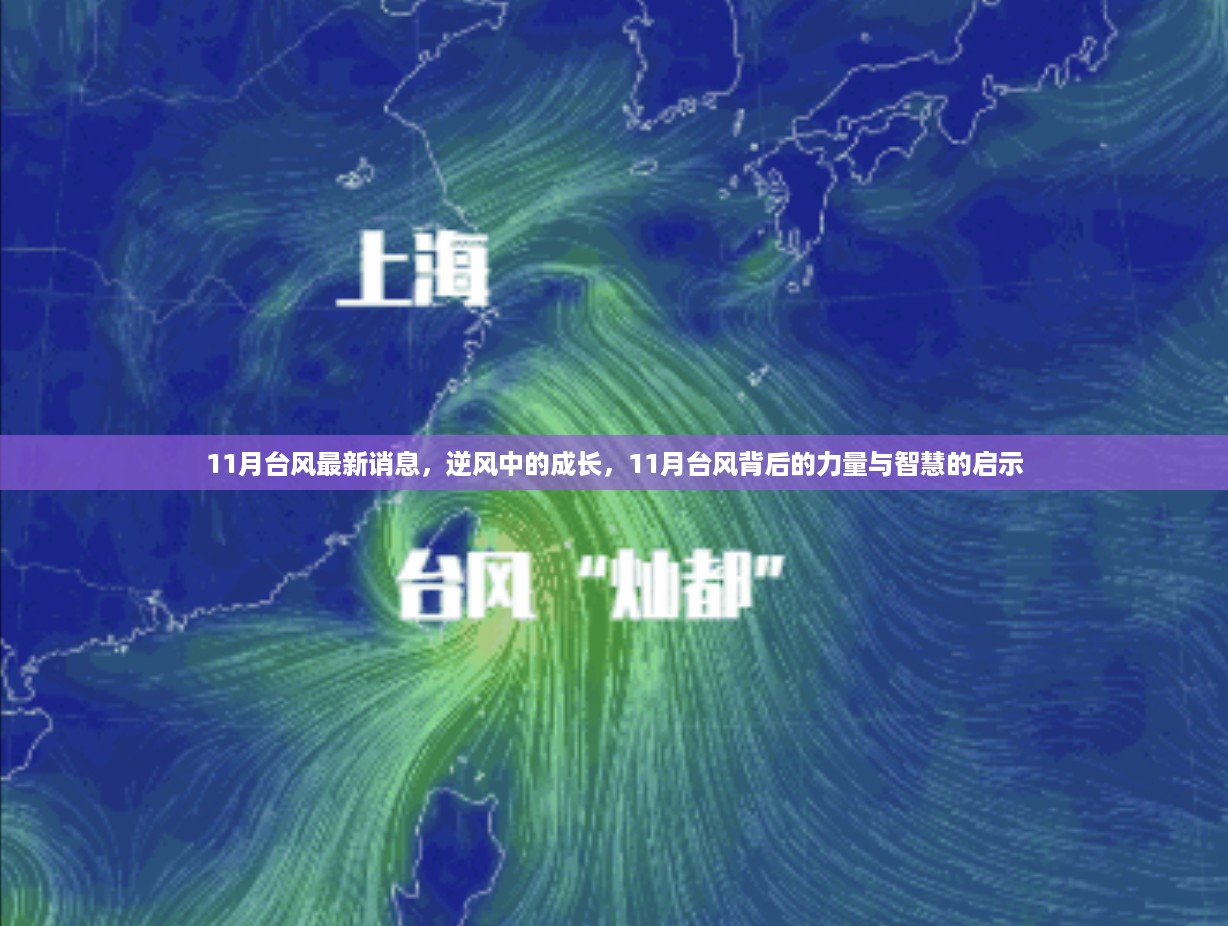 逆风中的成长，揭秘11月台风背后的力量与智慧启示