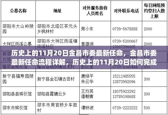 历史上的11月20日金昌市委最新任命详解，任命流程与步骤回顾