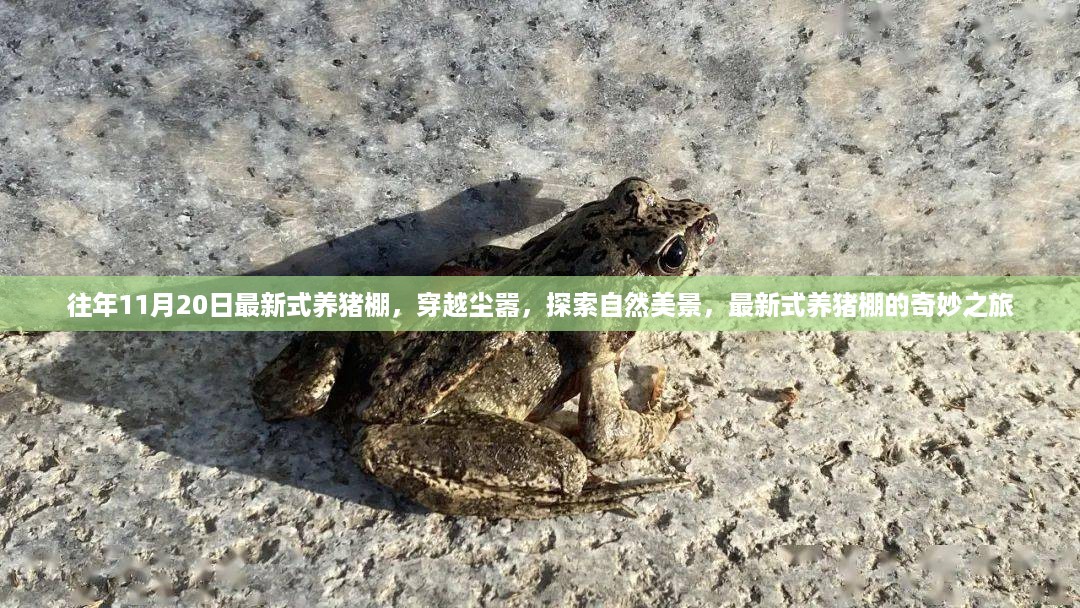 最新式养猪棚，穿越尘嚣的自然美景奇妙之旅