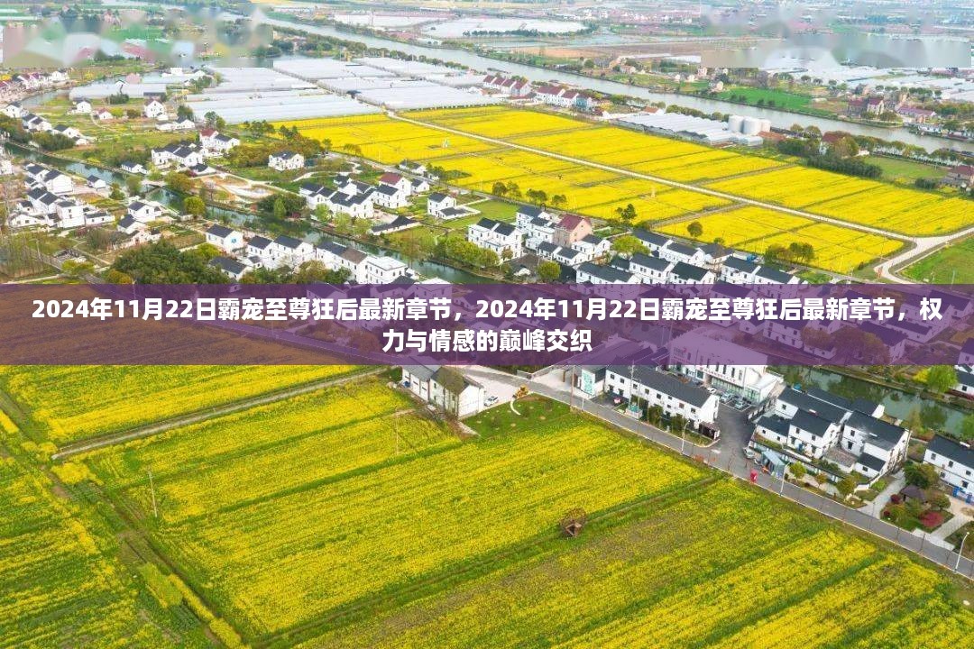 权力与情感交织，霸宠至尊狂后最新章节 2024年11月22日