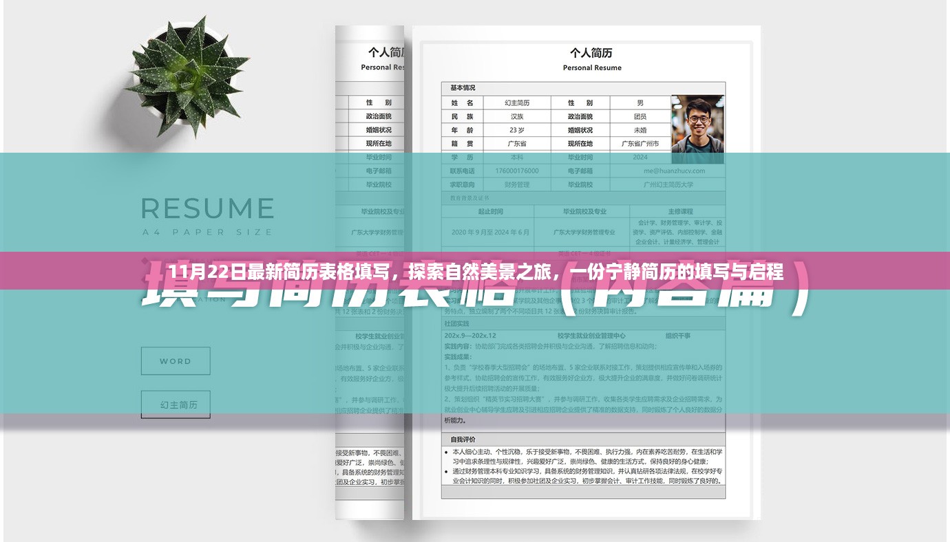 11月22日最新简历表格填写，探索自然美景之旅，一份宁静简历的填写与启程
