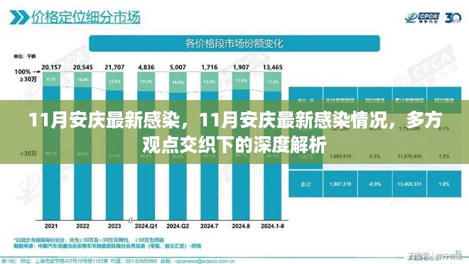 11月安庆最新感染情况深度解析，多方观点交织下的探讨