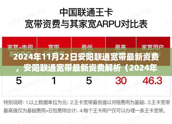 2024年11月安阳联通宽带最新资费解析