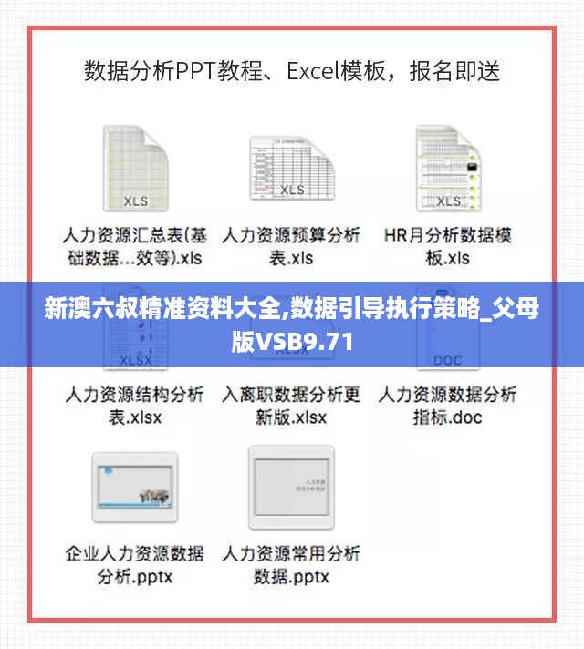 新澳六叔精准资料大全,数据引导执行策略_父母版VSB9.71