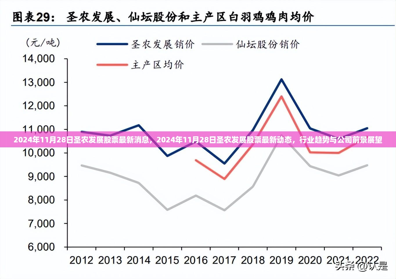 2024年11月28日圣农发展股票最新消息，2024年11月28日圣农发展股票最新动态，行业趋势与公司前景展望