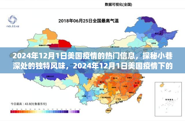 美国疫情下的隐秘美食天堂，探秘独特风味的小巷故事（2024年12月1日）