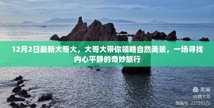 大哥大自然之旅，探寻内心平静的奇妙旅行