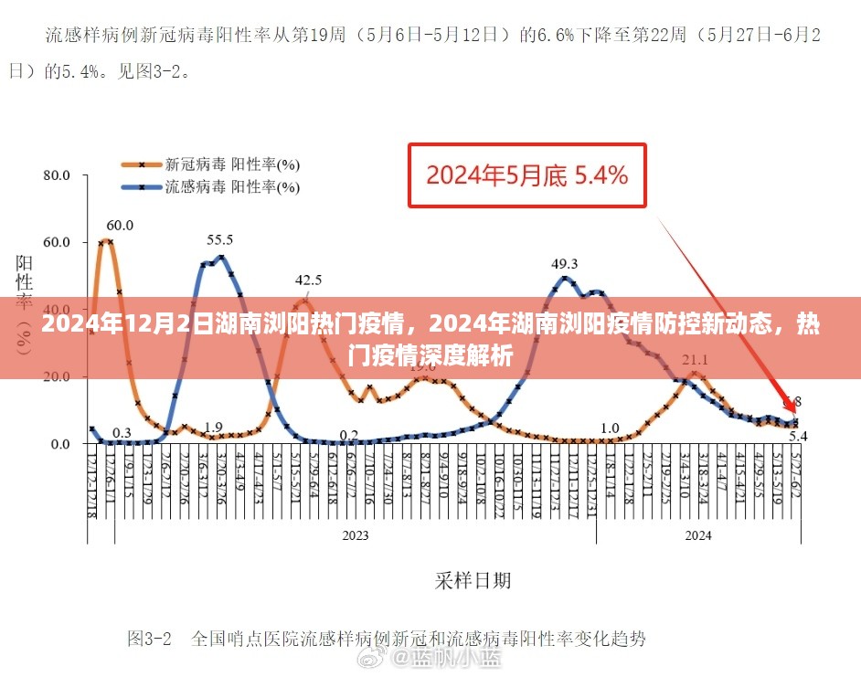 湖南浏阳疫情防控深度解析，热门疫情与最新防控动态解析（2024年）