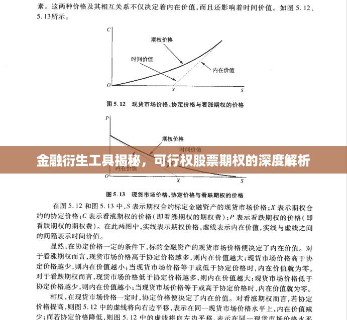 金融衍生工具揭秘，可行权股票期权的深度解析