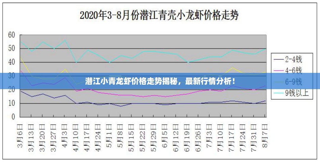 潜江小青龙虾价格走势揭秘，最新行情分析！